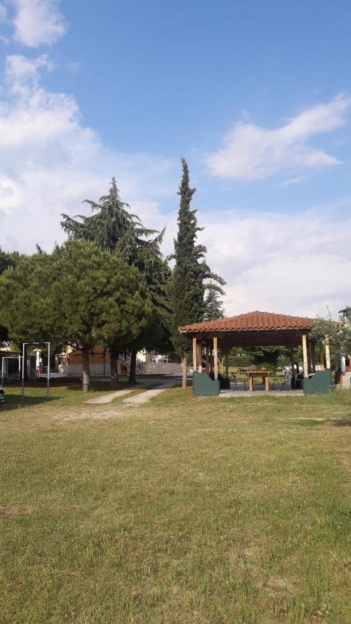 Olive Mare Holidays Неа-Ираклия Экстерьер фото